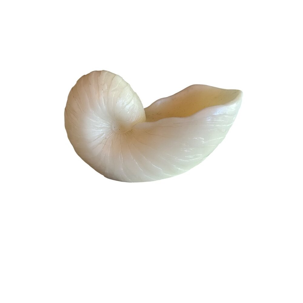 Large Nautilus Shell Shaped Candle By Austin Sculptures